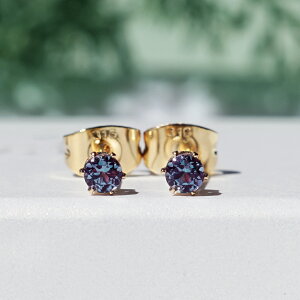 ALThCg3mmsAXET[WJXeX@`Neon tetra T[WJXeX SUS316 WG[ ANZT[ sAX  ALThCg nhCh v[g