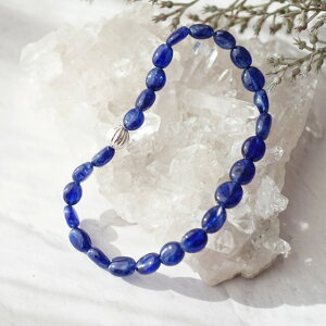 Tt@CÃWF_t[uXbg@`Ɂ@VR Xg[ Vv WG[ ̓ ANZT[ nhCh v[g Mtg  ł  w  