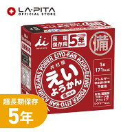 非常食・保存食 井村屋 えいようかん （賞味期限：2031年10月）60gx5本入【防災グッズ 食品 お菓子 菓子 …