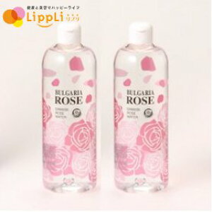 yr[ōő10%OFFN[|zuKA[Y _}XN[YEH[^[ 500ml 2{Zbg