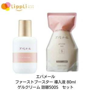 Go[ t@[Xgu[X^[ t 80ml QN[ l500S Zbg