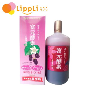 xyf{CZx[ ubNJ[gz 1000cc N[ւ͂