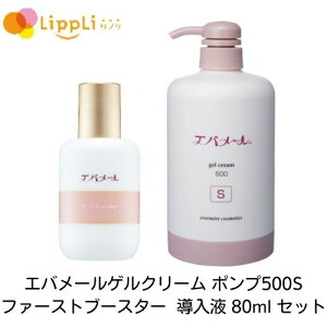 Go[QN[ |v500S t@[Xgu[X^[ t 80ml Zbg