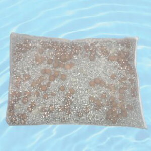 yr[ōő10%OFFN[|z}OXeBbN lI 12L^N^Cvp