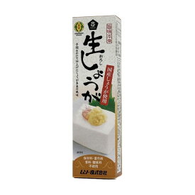 旨味本来 生おろししょうが 40g 60本セット