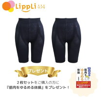 楽天市場】さとう式腰サポーター スパッツの通販