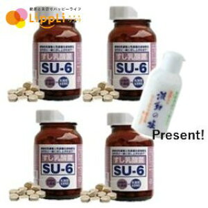 _ SU-6 150 4Zbg g̉40gt