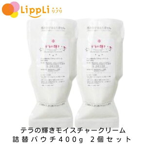 e̋P CX`[N[ lփpE` 400g 2Zbg