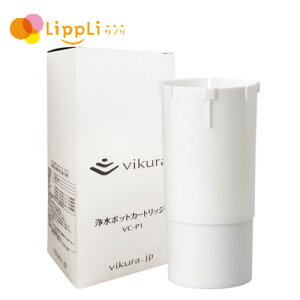 rN򐅃|bgJ[gbW VC-P1