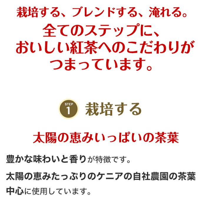 楽天市場】【アウトレット含む 返品交換不可 賞味期限：2023/03/29】 紅茶 ギフト リプトン 公式 無糖 初回スターターキット 9種類 リプトン  ティーバッグ Lipton LIPTON : 紅茶の専門家リプトン公式ストア