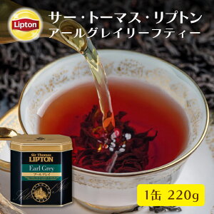 vg T[Eg[}XEvg g t A[OC 220g   [teB[ Lipton Mtg ʓ