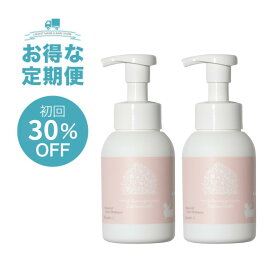 【定期購入】プロケア 泡シャンプー［月齢0ヶ月から］250ml 2本セット ヘアケア ベビーシャンプー ヘアシャンプー アトピー アミノ酸 ノンシリコン 沐浴 お風呂 日本製 無添加 天然由来 保湿 赤ちゃん ファミリー 出産祝い ギフト プレゼント