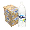 【送料無料】サンガリア 伊賀の天然水 強炭酸水 レモン 1000ml (1L) ×2ケース 24本