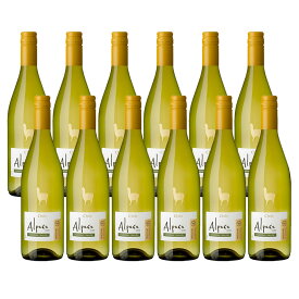 【最強配送】【抽選で1等77,777ポイント当たる！】 【送料無料】サンタヘレナ アルパカ シャルドネ セミヨン 750ml×12本【北海道・沖縄県・東北・四国・九州地方は必ず送料が掛かります】