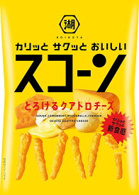 4/24日20時～25日限定P3倍 【送料無料】湖池屋 スコーン とろけるクアトロチーズ 78g×24個/2ケース