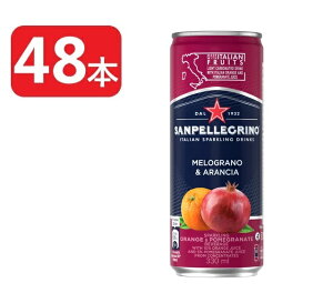 yI12|CgIzyzyP[X̔zTyOm C^AXp[NOhN O[m A` UNIW 330ml×2P[X/48{