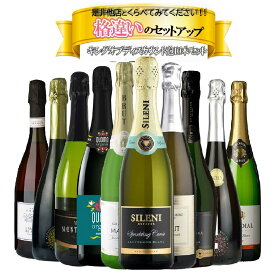 【送料無料】ワイン セット 衝撃コスパ スパークリング ワインセット [750ml×10本]辛口 高炭酸 白 ロゼ 泡 ギフト【北海道・東北・四国・九州・沖縄県は必ず送料がかかります】