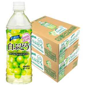 yzTKA ƔԂǂ PET 500ml×2P[X/48{Ԃǂ  t[c ʕ W[X ybg ybg{g ܂Ƃߔ