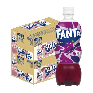 yI12|CgIzyzRJR[ t@^ O[v 500ml×2P[X/48{