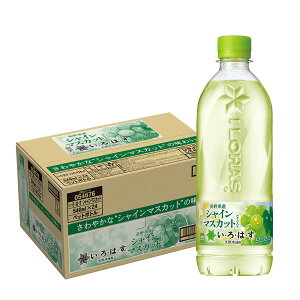 yzRJER[ EÉE VC}XJbg 540ml×24{/1P[X