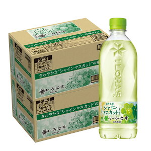 10/30SiP3{ yI12|CgIzyzRJER[ EÉE VC}XJbg 540ml×48{/2P[X