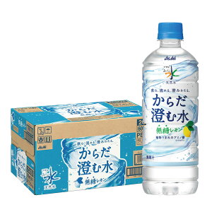 yzATq  VR 炾ސ600ml×1P[X/24{