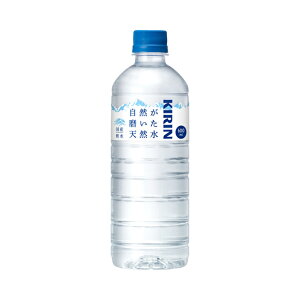 yI12|CgIzyzL RVR 600ml×1P[X/24{