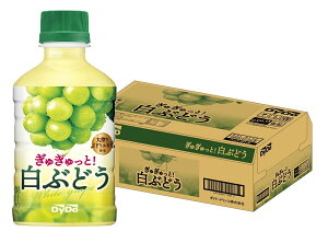 yI12|CgIzyzDydo _Ch[ ガƔԂǂ 280ml×1P[X/24{