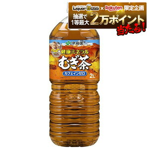 健康ミネラルむぎ茶 2L×12本 PET