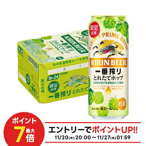 yI12|CgIzyŋzzL ԍ Ƃꂽăzbv r[ 2025 500ml×1P[X/24{ y2P[X܂œ\zo