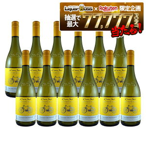 yI177,777|CgIzyzRmX Vhl rVN^ [o `C 750ml×1P[X/12{ykCEꌧEkElEBn͕K܂