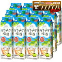 【最強配送】【送料無料】キリン かろやか梅酒 パック 2000ml 2L×2ケース/12本【北海道・沖縄県・東北・四国・九州地方は必ず送料がかかります】
