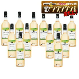 【送料無料】【ノンアルコール ワイン】Vintense ヴィンテンス ソーヴィニヨン・ブラン 白 750ml×2ケース/12本【本州(一部地域を除く)は送料無料】