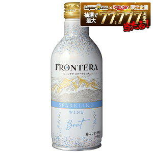 �y���������z�����V���� �t�����e�� �X�p�[�N�����O 280ml×1�P�[�X/24�{�y�{�B(�ꕔ�n�揜��)�͑��������z