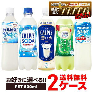 �y���������z�I�ׂ� �A�T�q���� �I�ׂ�J���s�X 500ml 2�P�[�X/48�{�J���s�X CALPIS ���_����