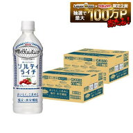 8/4 20:00〜8/10までP4倍 【最強配送】【送料無料】キリン 世界のKitchenから ソルティライチ 500ml×2ケ…