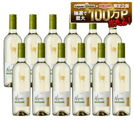 【最強発送】【送料無料】サンタヘレナ アルパカ ソーヴィニヨンブラン 750ml×12本【一部地域送料無料対象外】