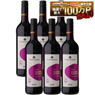 【送料無料】【ノンアルコール ワイン】Vintense ヴィンテンス カベルネ・ソーヴィニョン 赤 750ml×1ケ…