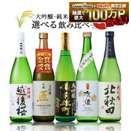 【送料無料】選べる 日本酒 大吟醸 金賞受賞 飲み比べセット [720ml×5本]【北海道・東北・四国・九州・…
