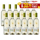 【最強配送】【送料無料】サンタヘレナ アルパカ ソーヴィニヨンブラン 750ml×12本【一部地域送料無料対象外】
