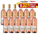 【送料無料】サンタヘレナ アルパカ ロゼ 750ml×12本【北海道・沖縄県・東北・四国・九州地方は必ず送料が掛かります】