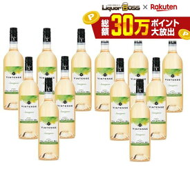 【送料無料】【ノンアルコール ワイン】Vintense ヴィンテンス ソーヴィニヨン・ブラン 白 750ml×2ケース/12本【本州(一部地域を除く)は送料無料】