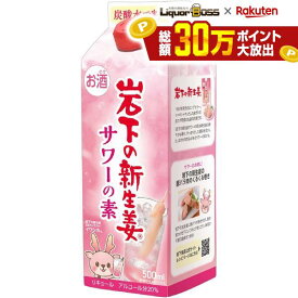 【送料無料】清洲桜醸造 岩下の新生姜サワーの素 紙パック 500ml 2本【ご注文は12本まで1個口配送可能】
