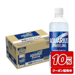 9/1͐HtFX300~OFFN[|擾 yzRJ R[ ANGAX Xp[NO 490ml×1P[X/24{MǑ΍ ăoe    ^ X|[c ̈ ϐ ΍ O  