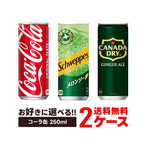 yI12|CgIzyzIׂ RJER[ 250mlʂǂ 2P[X 60{ ZbgR[ R[ VEFbvX\[_ WWG[