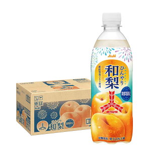 y׎攭z yzATq OcЂa 500ml×1P[X/24{~c TC_[ 