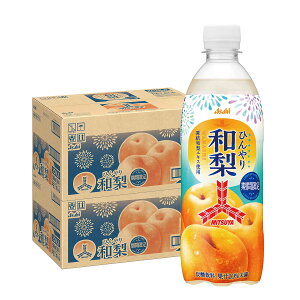 y1ő300%PobNzyzATq OcЂa 500ml×2P[X/48{~c TC_[