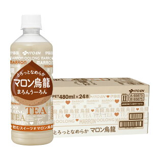 yI12|CgIzyzɓ }G 480ml×1P[X/24{G E[ I