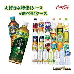 12/1P2{ yzIׂ Zbg 1P[X+2P[XڂDɑIׂv2P[XZbg PET×48{R[  