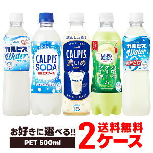 �y���������z�I�ׂ� �A�T�q���� �I�ׂ�J���s�X 500ml 2�P�[�X/48�{�J���s�X CALPIS ���_����